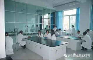 我的教育情懷 西安生物醫(yī)藥技術(shù)學(xué)院發(fā)展規(guī)劃與生物技術(shù)開(kāi)發(fā)