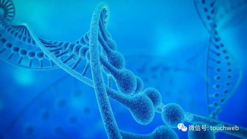 加立生物沖刺港股 9個(gè)月虧損4433萬(wàn)，林帝邦為大股東，生物技術(shù)開(kāi)發(fā)成焦點(diǎn)